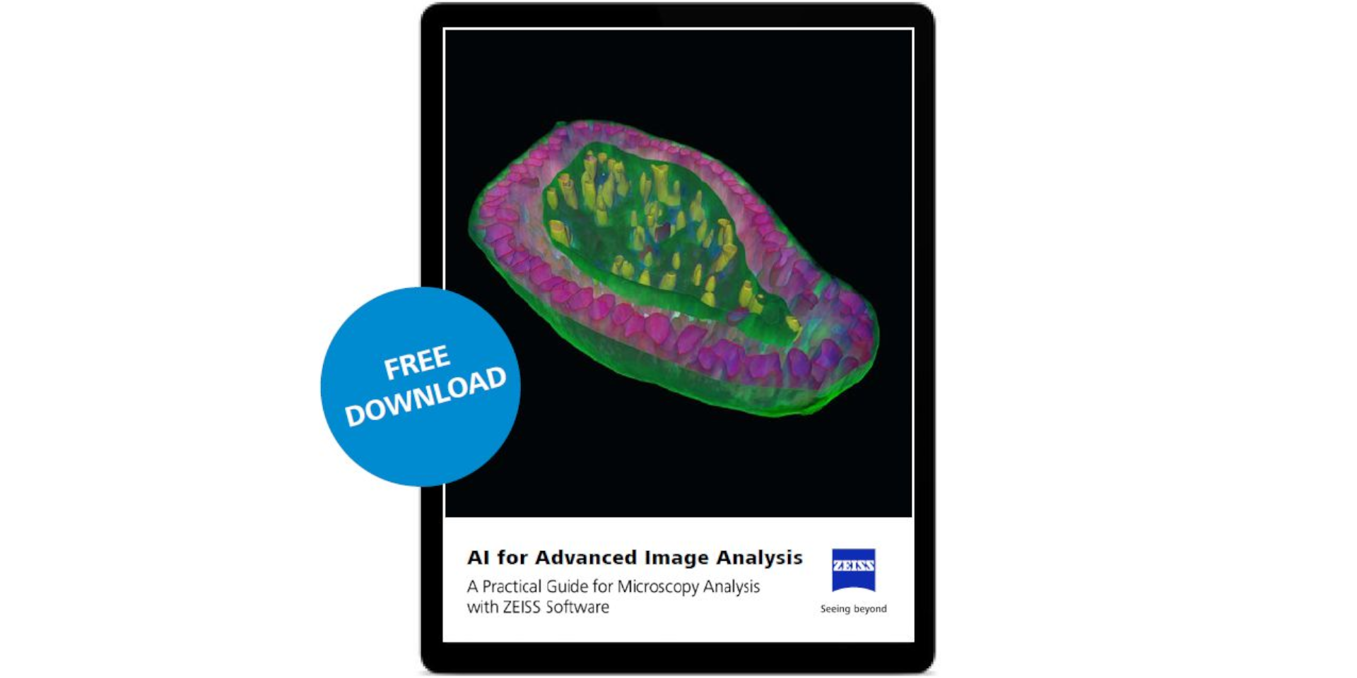 Tablet displaying a digital guide titled "AI for Advanced Image Analysis" by ZEISS, featuring a colorful 3D microscopic image, with a "Free Download" badge.