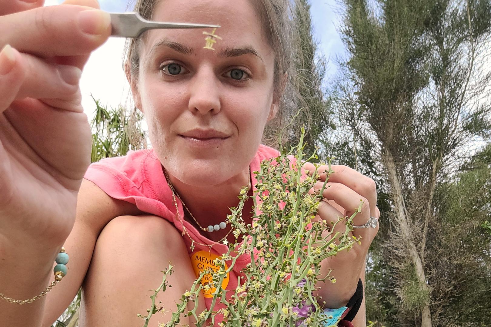 Person picking a small flower with tweezers outdoors, surrounded by trees and sky.
