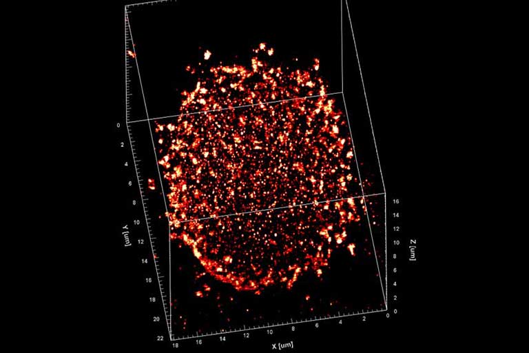 3D scatter plot with red/orange data points clustered in the center, labeled axes in micrometers: X (0–25), Y (0–15), and Z (0–10), on a black background.