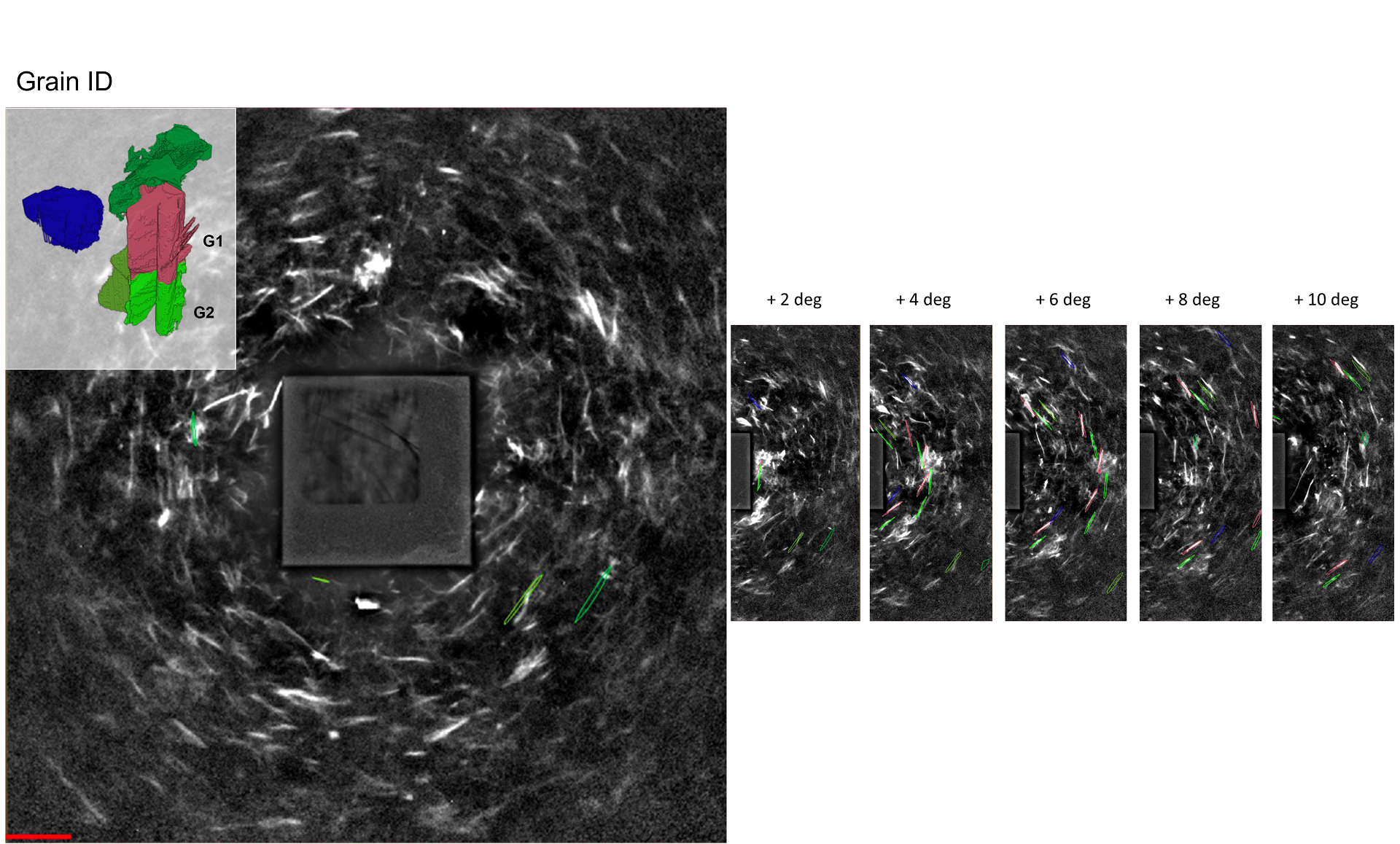 Laue diffraction patterns collected from a selected region of interest within the KBiS2 sample using Lab-based Diffraction Contrast Tomography (LabDCT) with ZEISS Xradia Versa. For the sake of clarity, only three prominent grains and their corresponding Laue reflections are highlighted. The outlined reflections within selected Laue diffraction patterns correspond to the three grains with the colors assigned as unique identifiers.