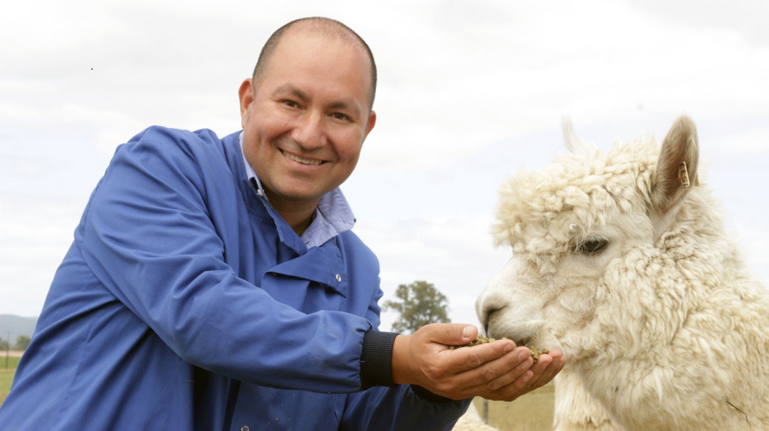 Dr. Alejandro Rojas-Fernandez with one of his nanobody generating alpacas