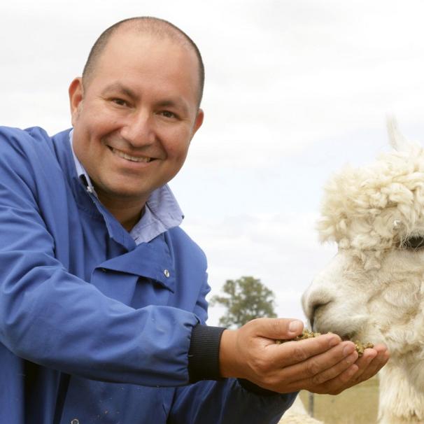 Alpaca Nanobodies to Combat Emerging Viruses