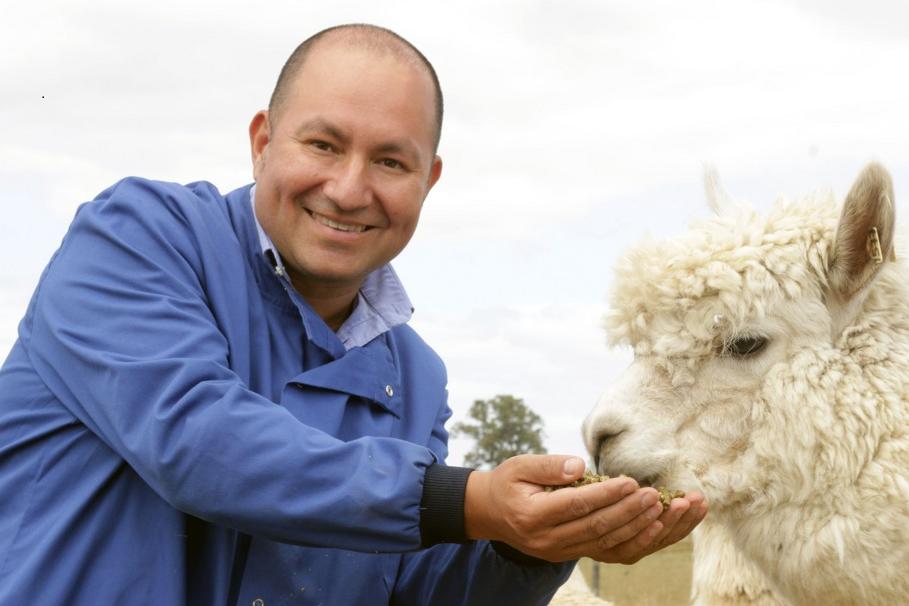 Dr. Alejandro Rojas-Fernandez with one of his nanobody generating alpacas