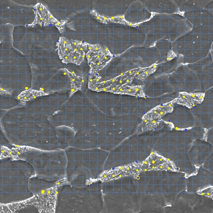 Bainite Segmentation with ZEISS ZEN Intellesis