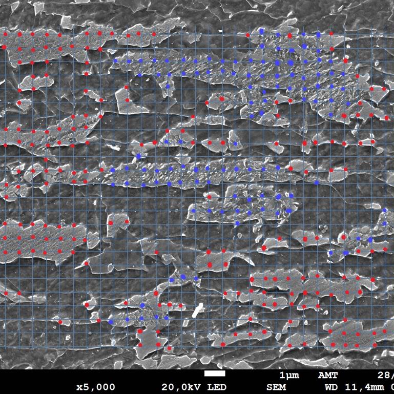 Bainite, Martensite and Ferrite Segmentation with ZEISS ZEN Intellesis