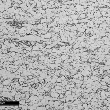 Typical Microstructure of Dual Phase Steel, LM 500x