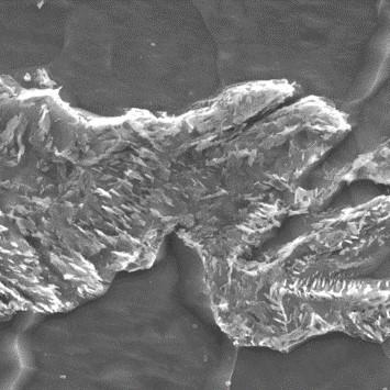 Typical Microstructure of a Ferritic-Bainitic Steel, SEM 10000x