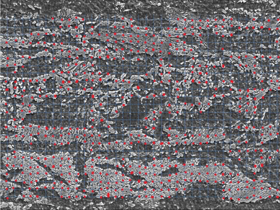 Perlite Segmentation with ZEISS ZEN Intellesis