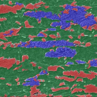 Bainite, Martensite and Ferrite Segmentation with ZEISS ZEN Intellesis