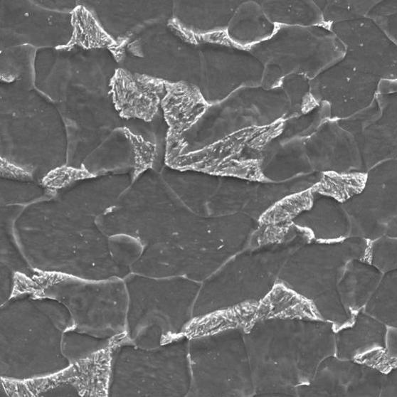 Typical Microstructure of Dual Phase Steel, SEM 3000x