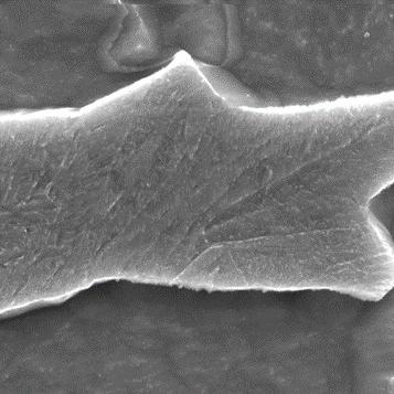 Typical Microstructure of Dual Phase Steel, SEM 19000x