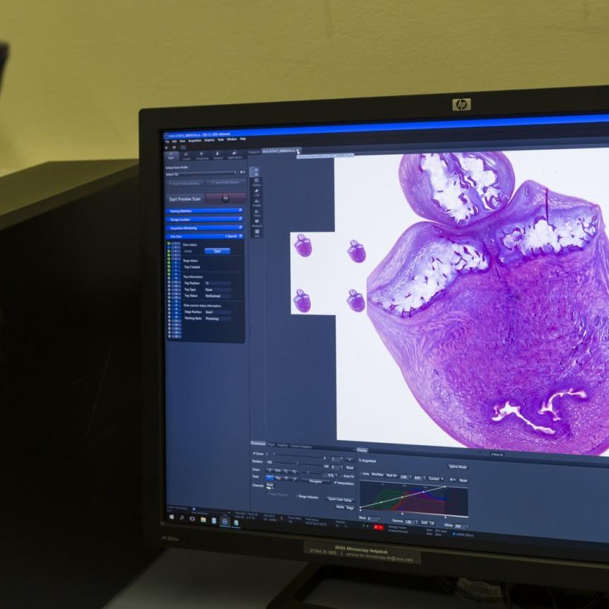 Imaging and digitization of the elephant embryo slides with ZEISS Axioscan