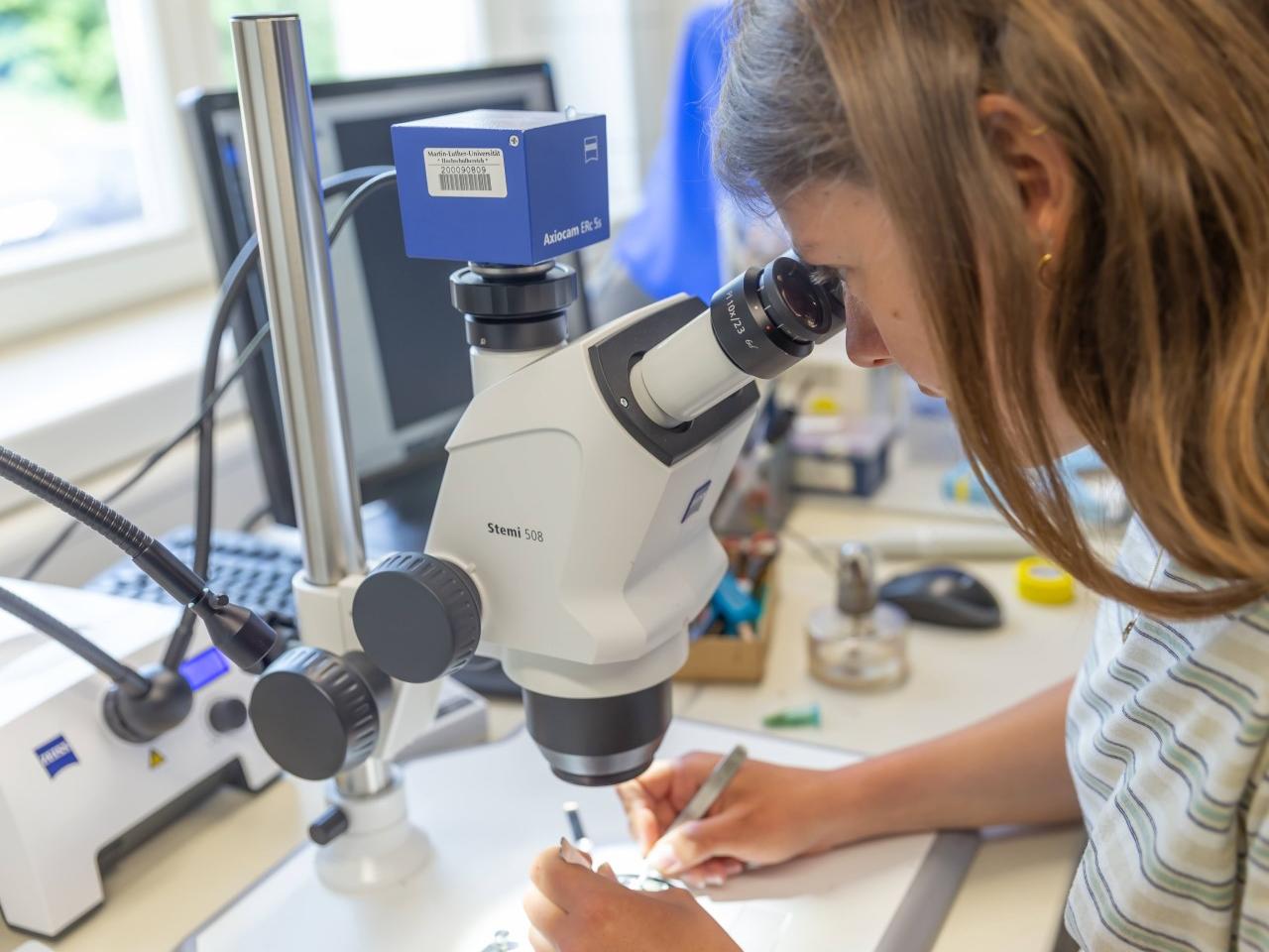 Improving Breeding Methods with Light Microscopy, Eternal Rye, Martin-Luther-University Halle-Wittenberg, Germany