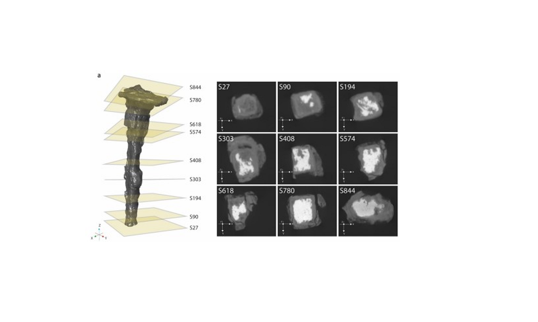 Virtual Cross-Section of Nail Artifact imaged with X-ray Microscopy