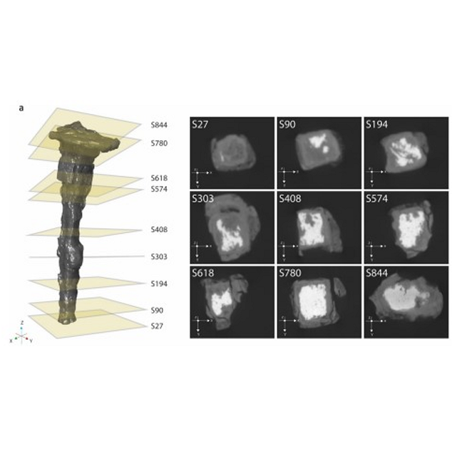 Virtual Cross-Section of Nail Artifact imaged with X-ray Microscopy