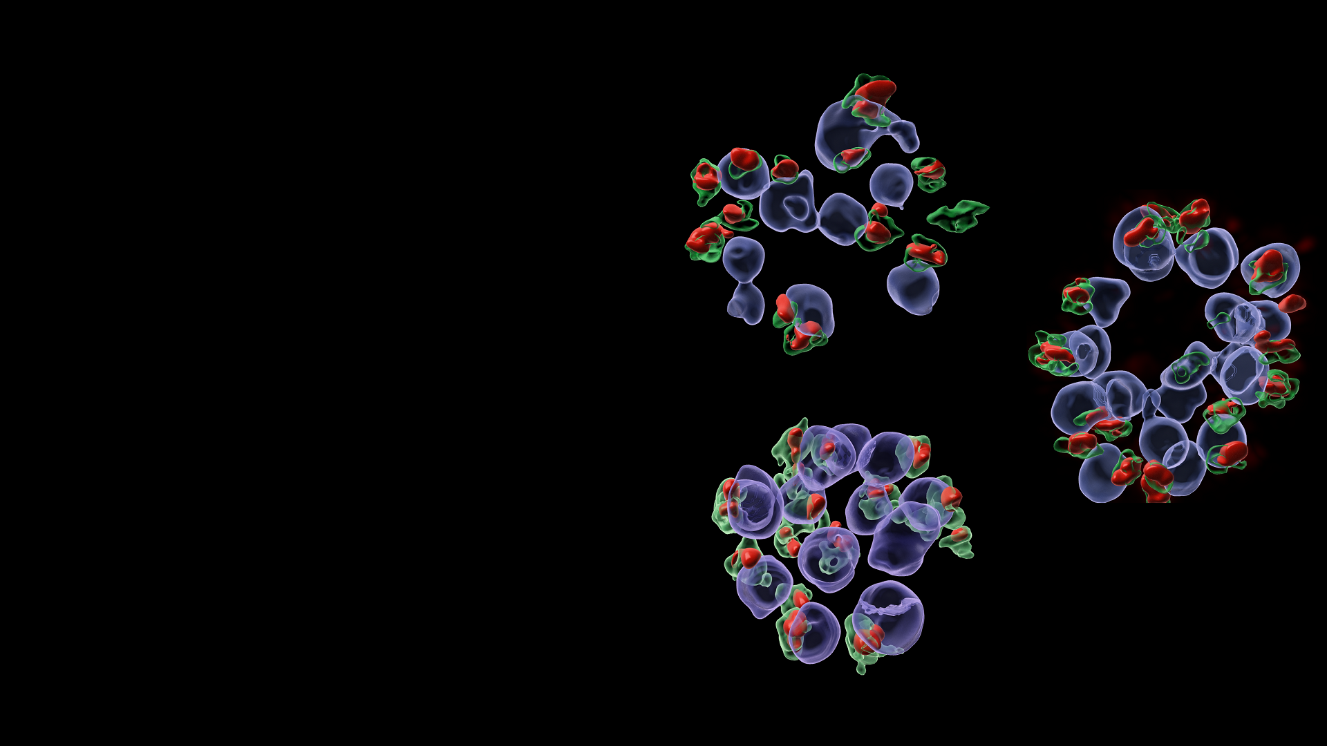 Exploring Malaria Parasite Entry into Red Blood Cells