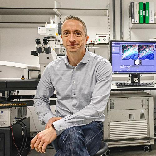 Peter O'Toole | University of York