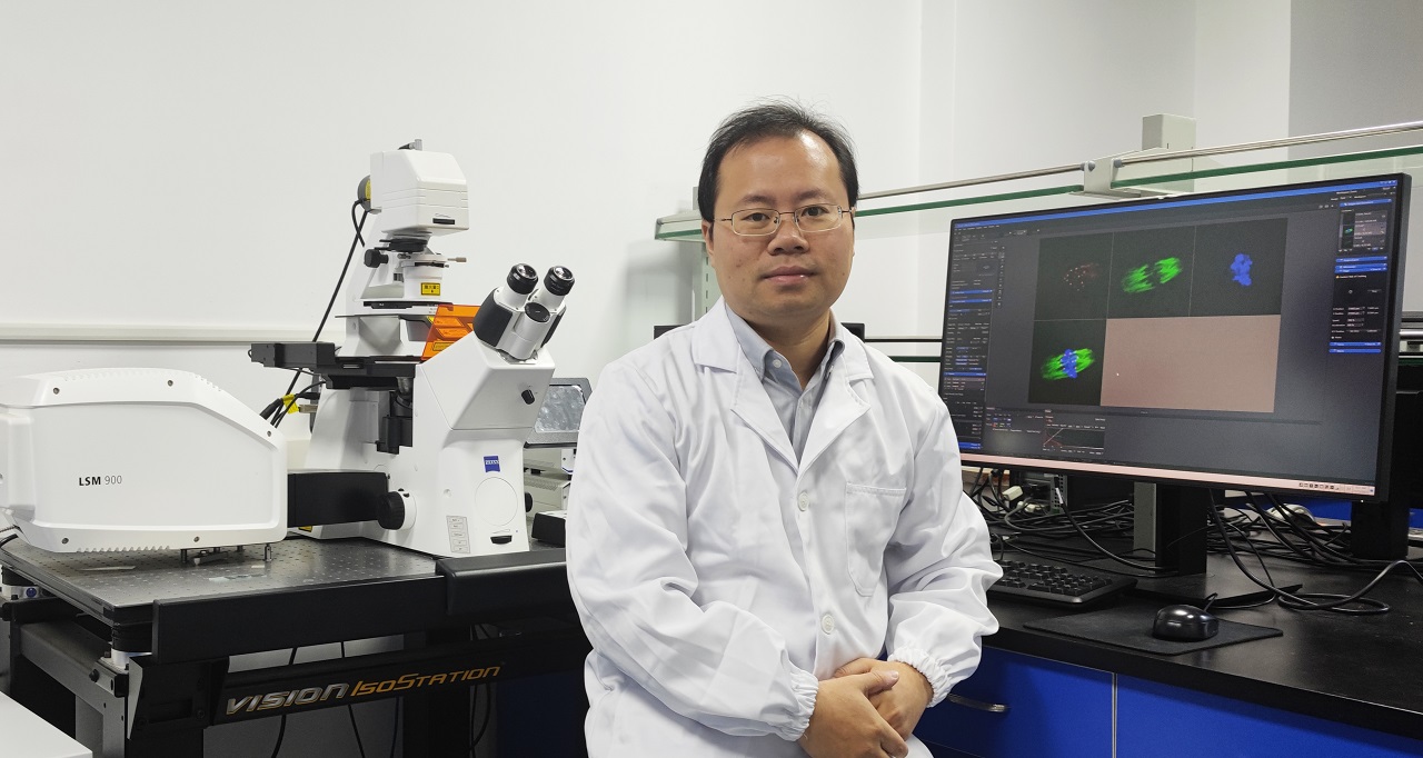 Unveiling Oocyte Quality with Confocal Microscopy