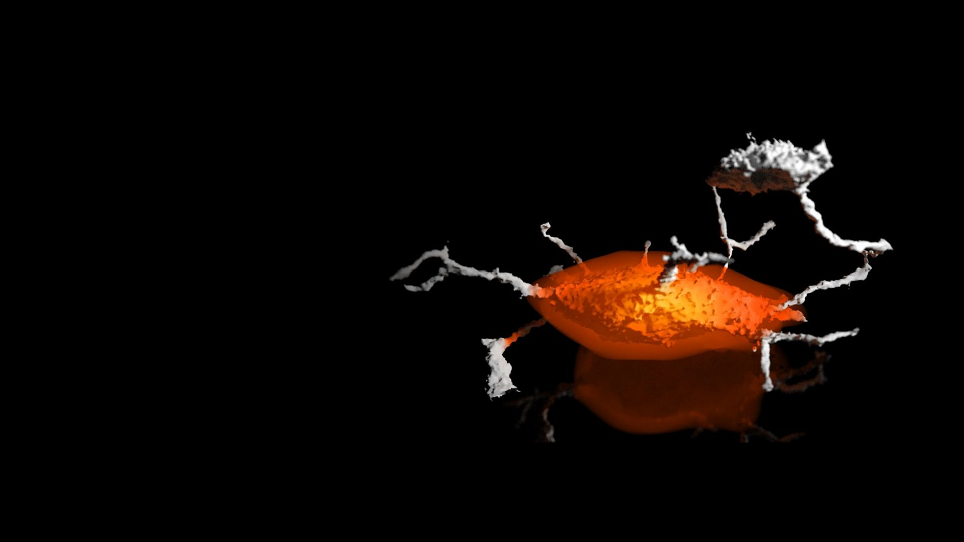 FIB-SEM of Ancient Bones Reveals the Origin of Mineral Metabolism