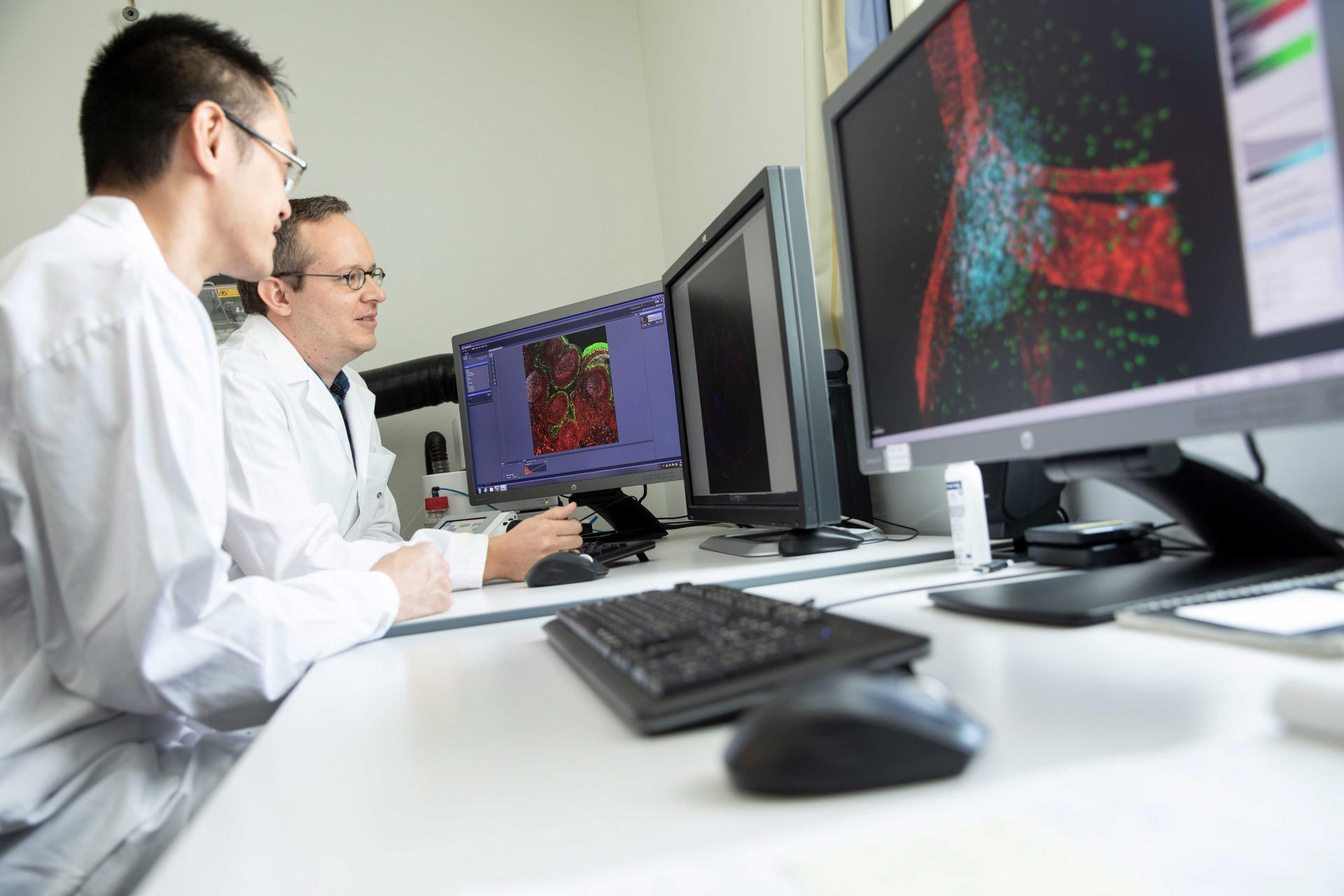 Two scientists in lab coats examine cellular images on computer screens in a research lab