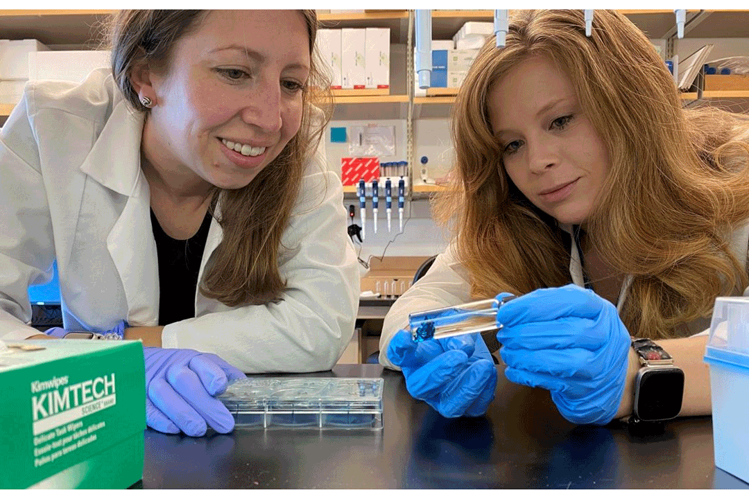 Dr. Fantauzzo (left) and her former graduate student, Dr. Brenna Dennison, examine a skeletal preparation of a mouse embryo.