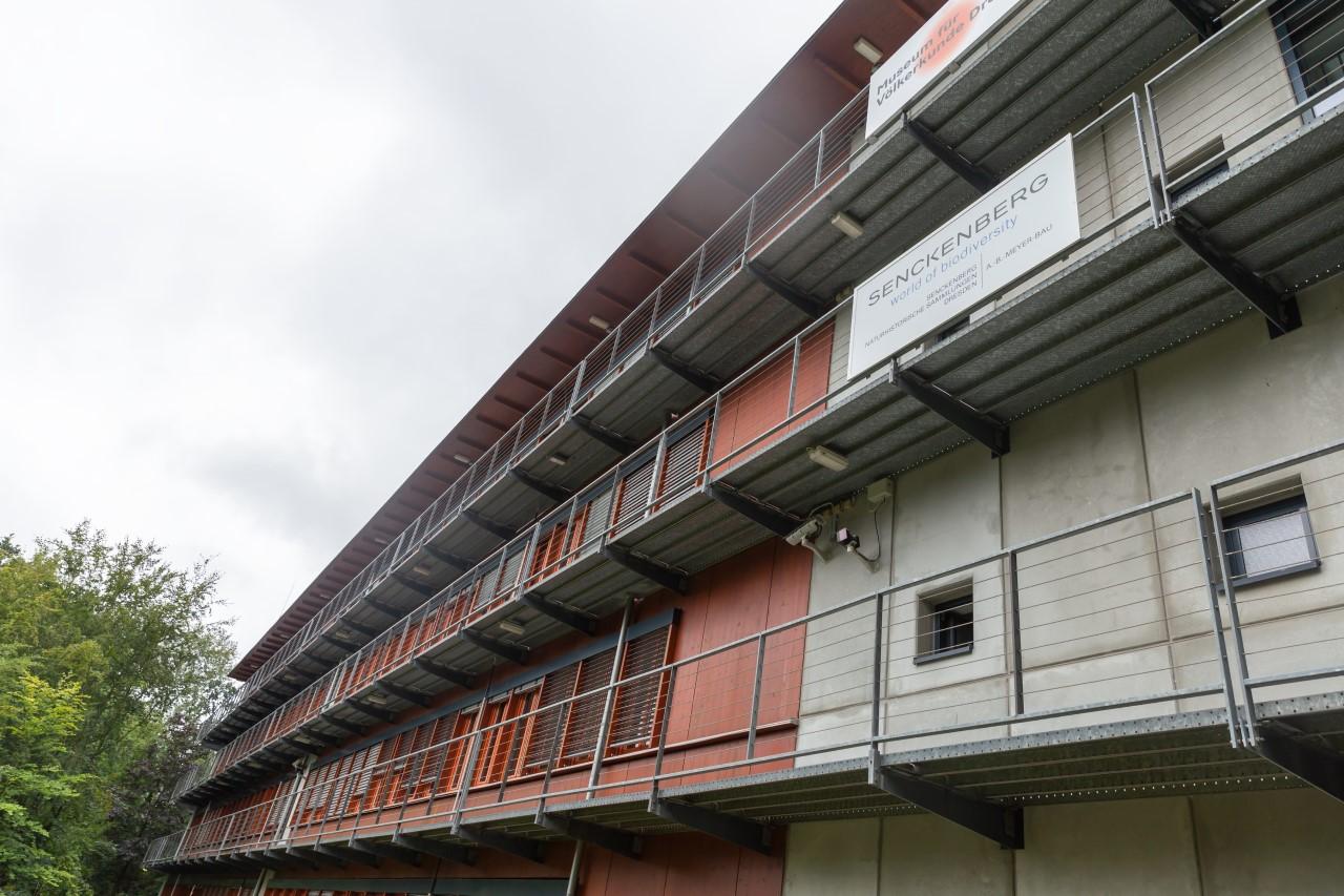 Building of Senckenberg Natural History Collection Dresden (SNSD)