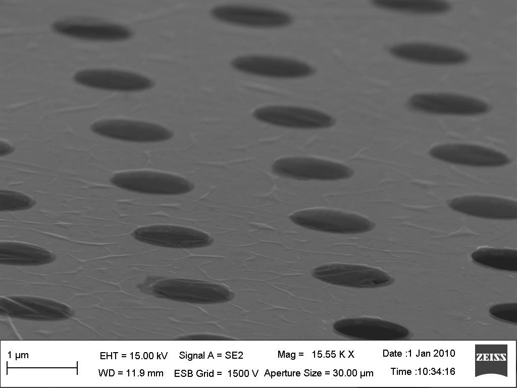 The University of Manchester | Graphene on TEM grid