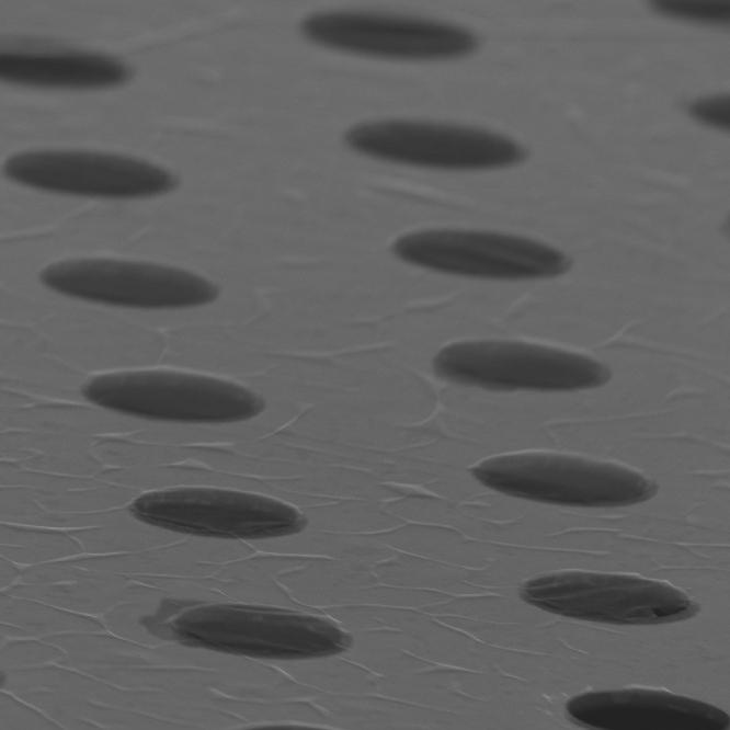 The University of Manchester | Graphene on TEM grid