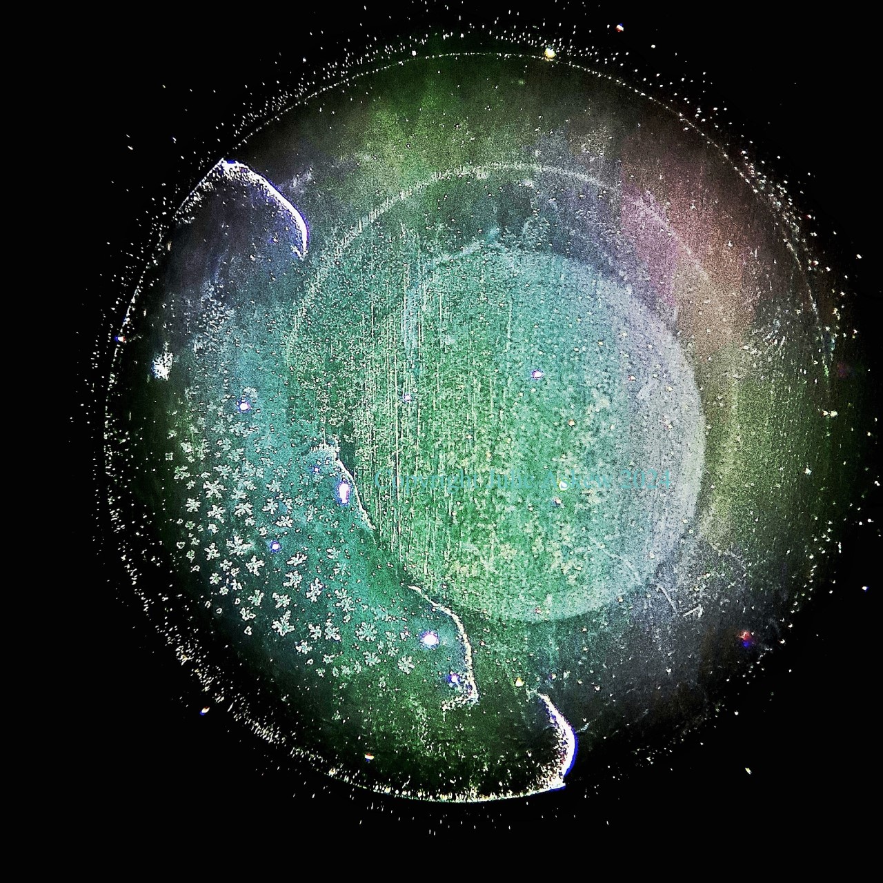 52,000-year-old Antarctic ice core drop, 20x | ZEISS Stemi