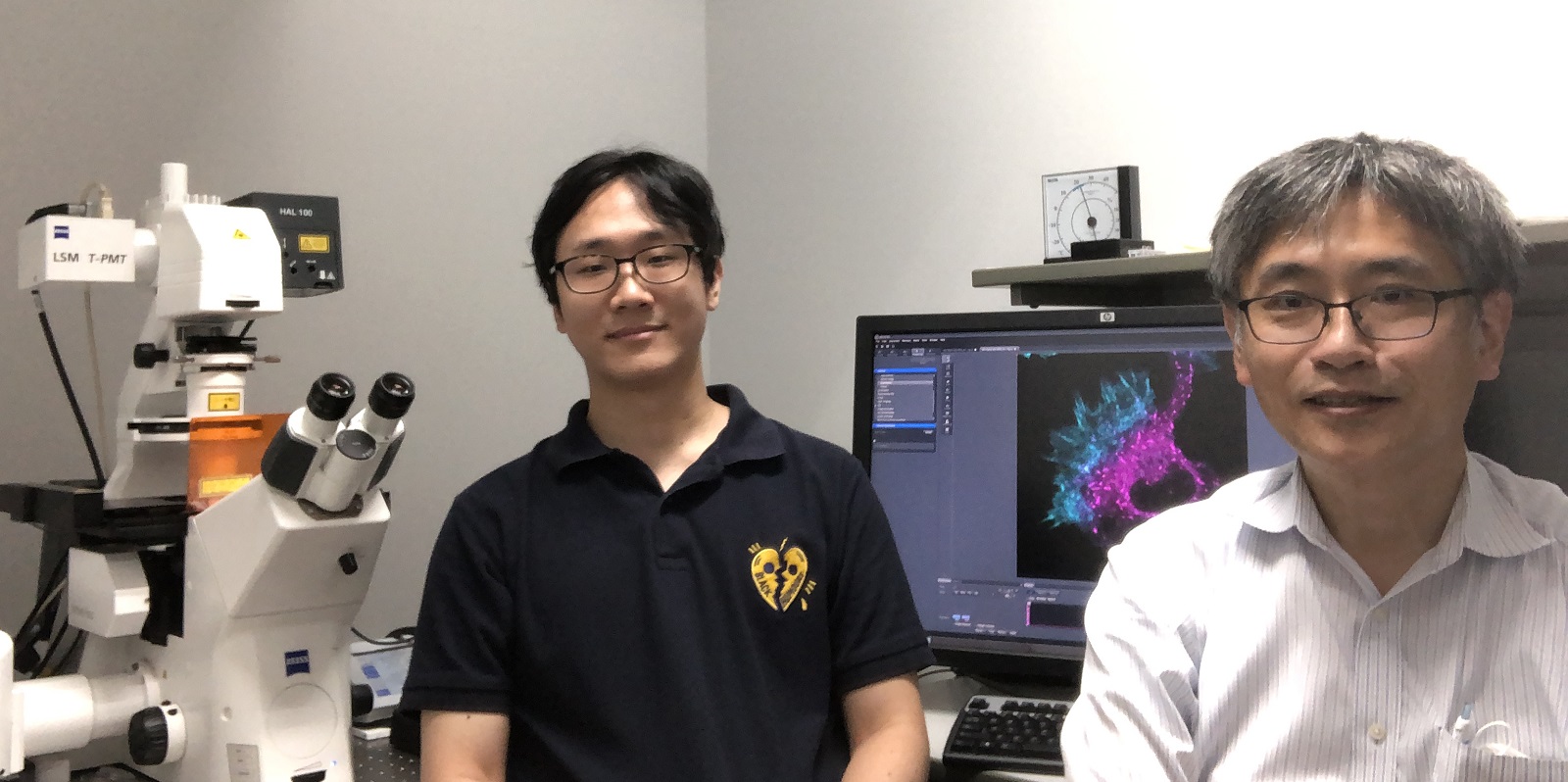 Cytoskeletal Insights: Schizophrenia's Hidden Mechanisms