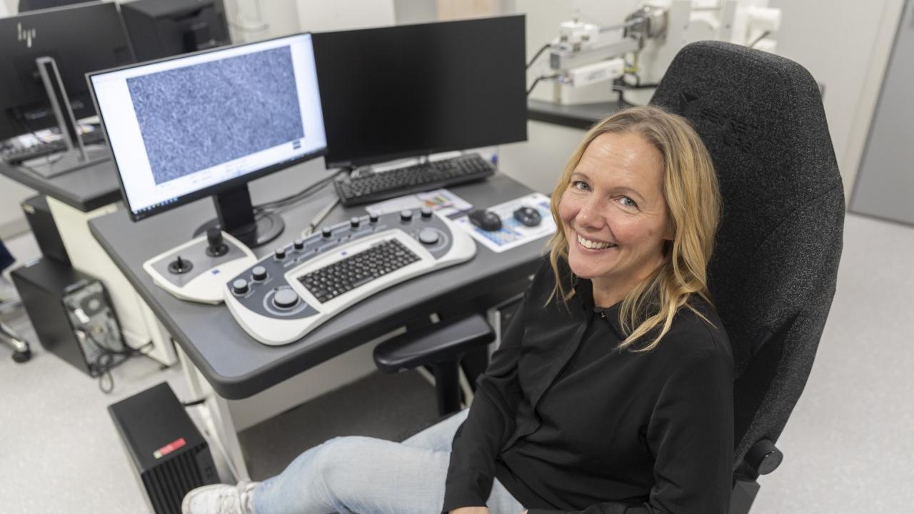 Improving Nano-Structured Surfaces for Implants with Scanning Electron Microscopy