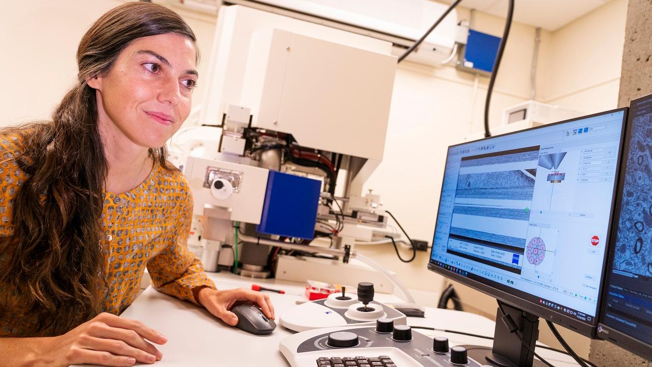 Banner image of students at teachers at Wake Forest University using classroom microscopes