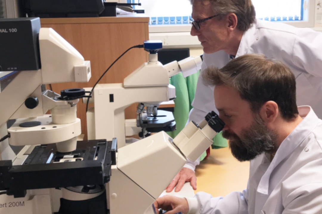 Two scientists in lab coats use microscopes at a laboratory workstation.