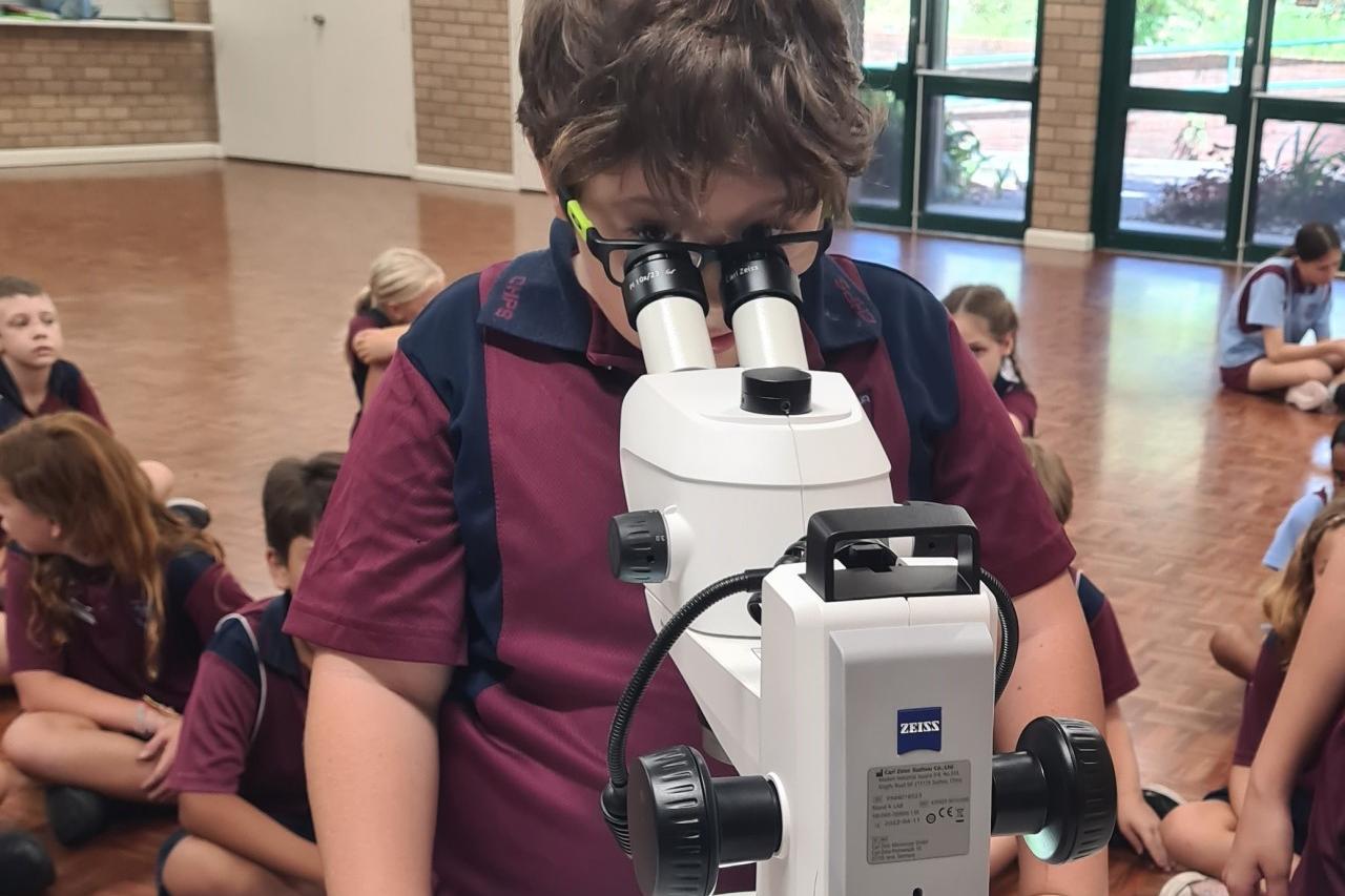 A student is fascinated by the world unfolding under the microscope.