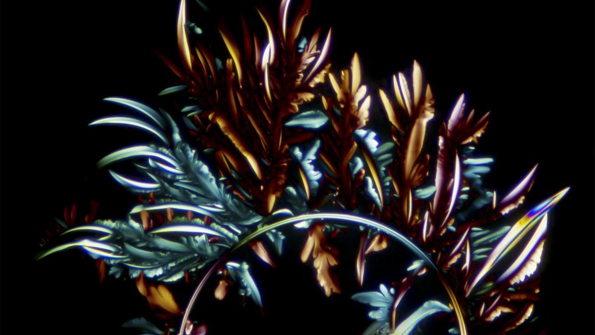 Microscopy as a Hobby
