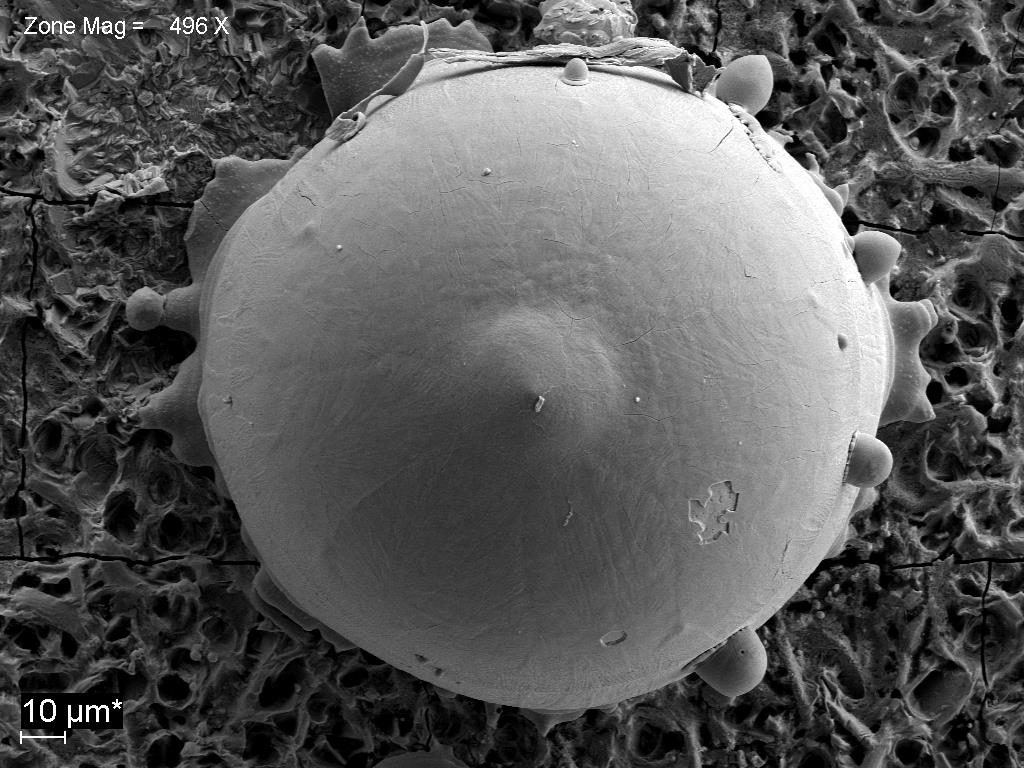 FeO sphere formed on a flat steel surface imaged with ZEISS Sigma FE-SEM.