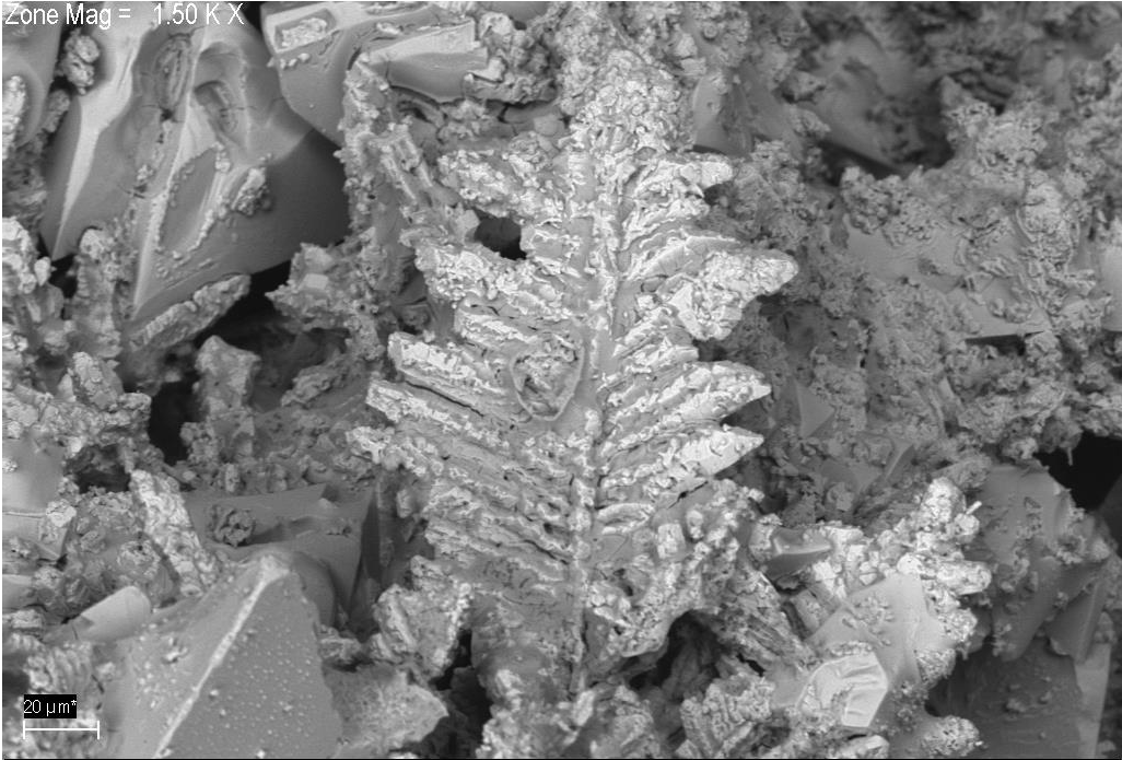 Structure formed after pouring molten zinc into water, imaged using ZEISS Sigma FE-SEM