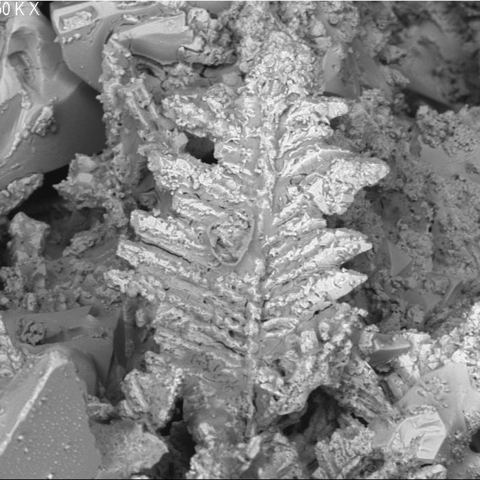 Structure formed after pouring molten zinc into water, imaged using ZEISS Sigma FE-SEM