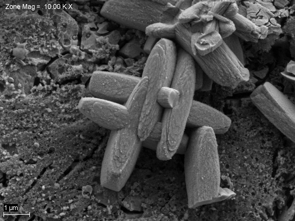 Zinc phosphate, imaged using ZEISS Sigma FE-SEM