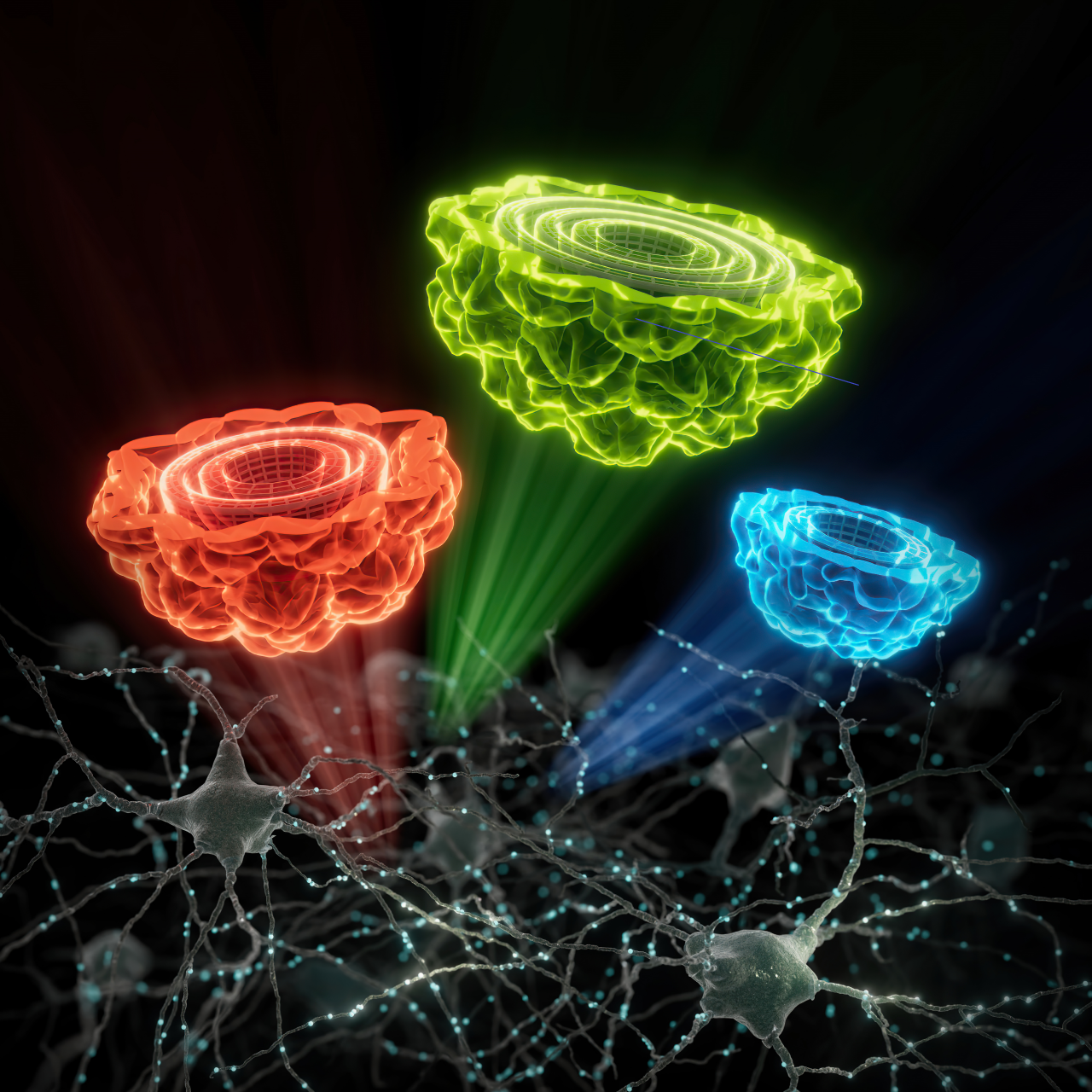 Labeling neurons with EMcapsulin barcodes