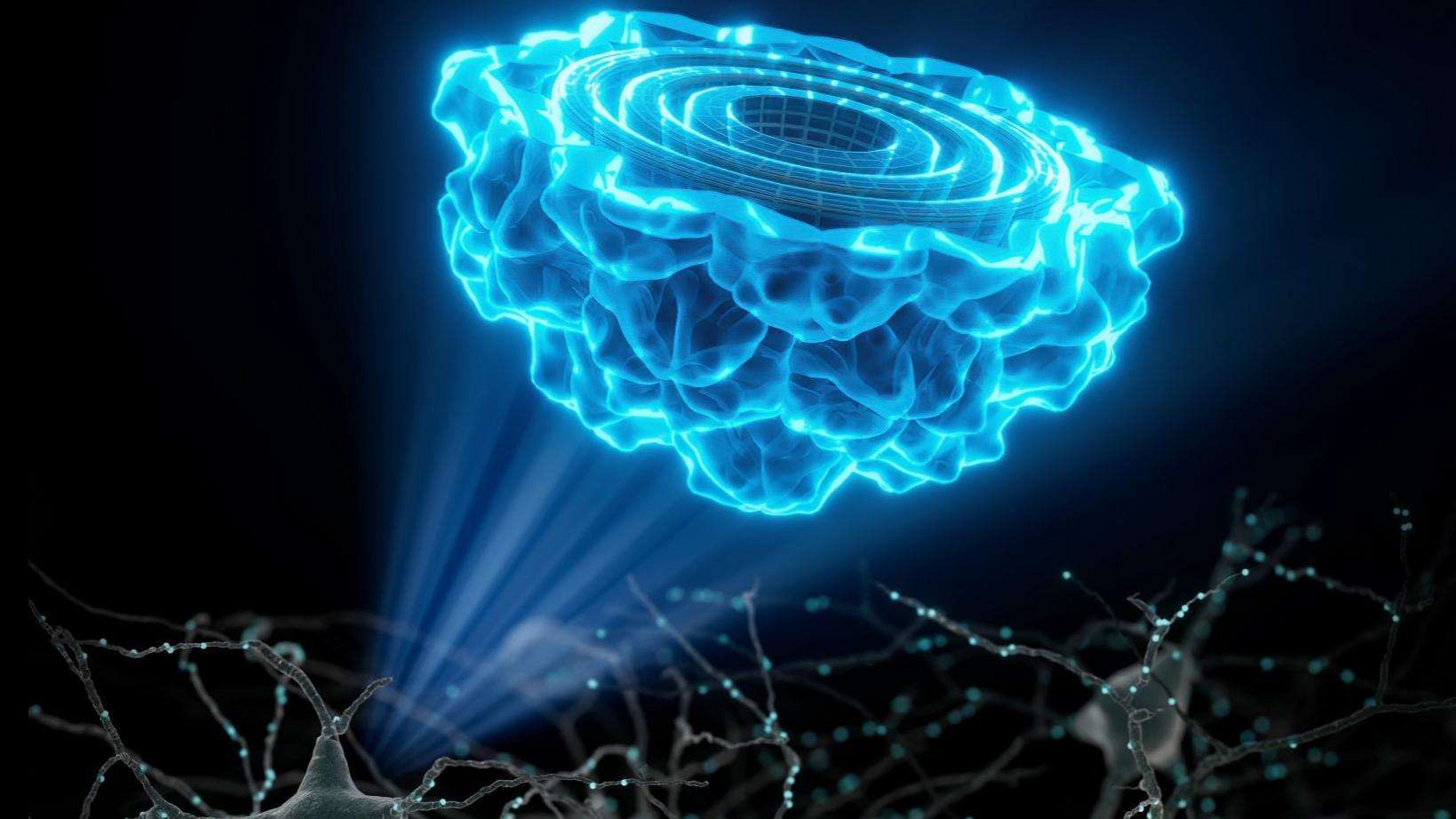 Nano-Reporter Proteins Make Invisible Processes Visible