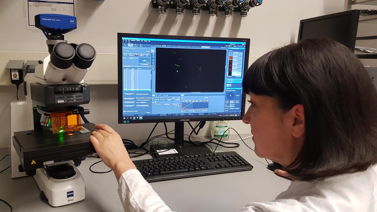 On Everyone’s Lips Microplastics