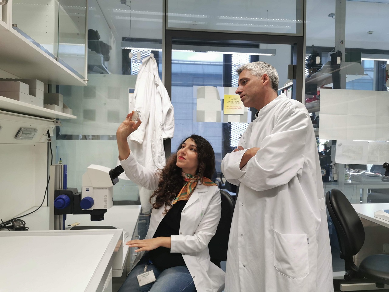 C. elegans Microscopy Unveils Aging Mechanisms