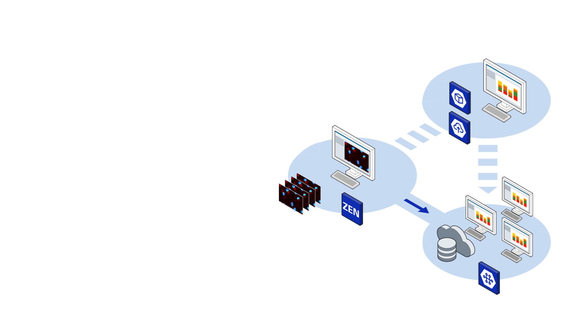 Graphic representation of the image analysis journey from left to right. Images are created and stored in diverse equipment. The images are analyzed with automated workflows. Then all images and workflows can be sent into a central hub for processing and batch analysis that scaled up to thousand of images, for faster reproducible results.