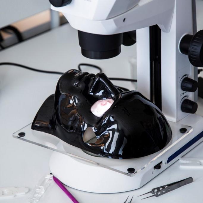 ZEISS Stemi 305 stereo microscopes as a part of ophthalmic surgical training
