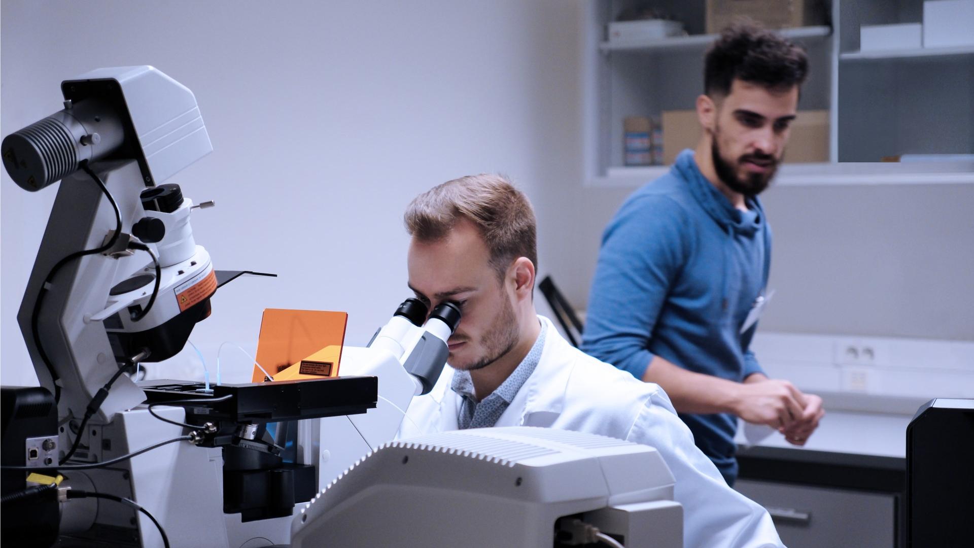 Transforming Biocondensate Research: Using Array-Detector Fluorescence Correlation Spectroscopy for Protein Dynamics in Microfluidic Channels