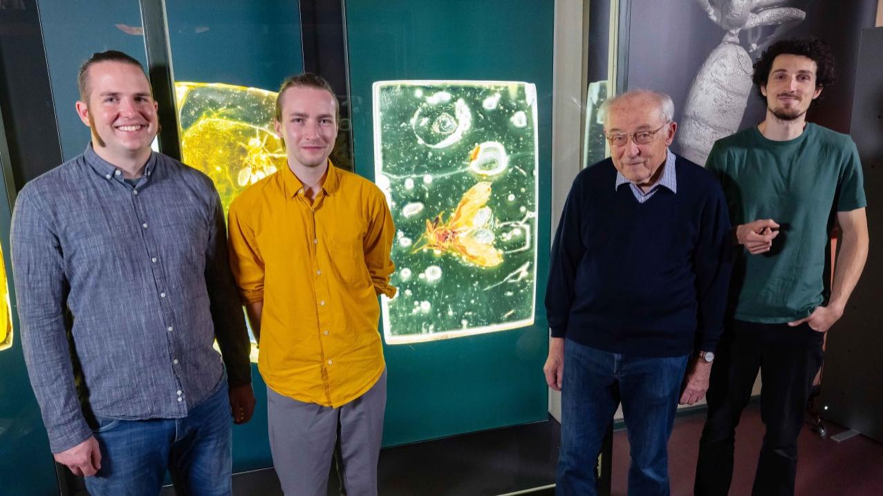 Amber Worlds | Exhibition Team Phyletisches Museum Jena