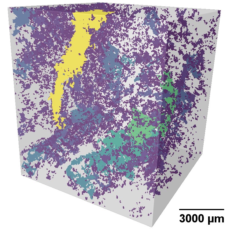 Characterization of Multi-Scale Pore Structure of Possible CO2 Storage Formations