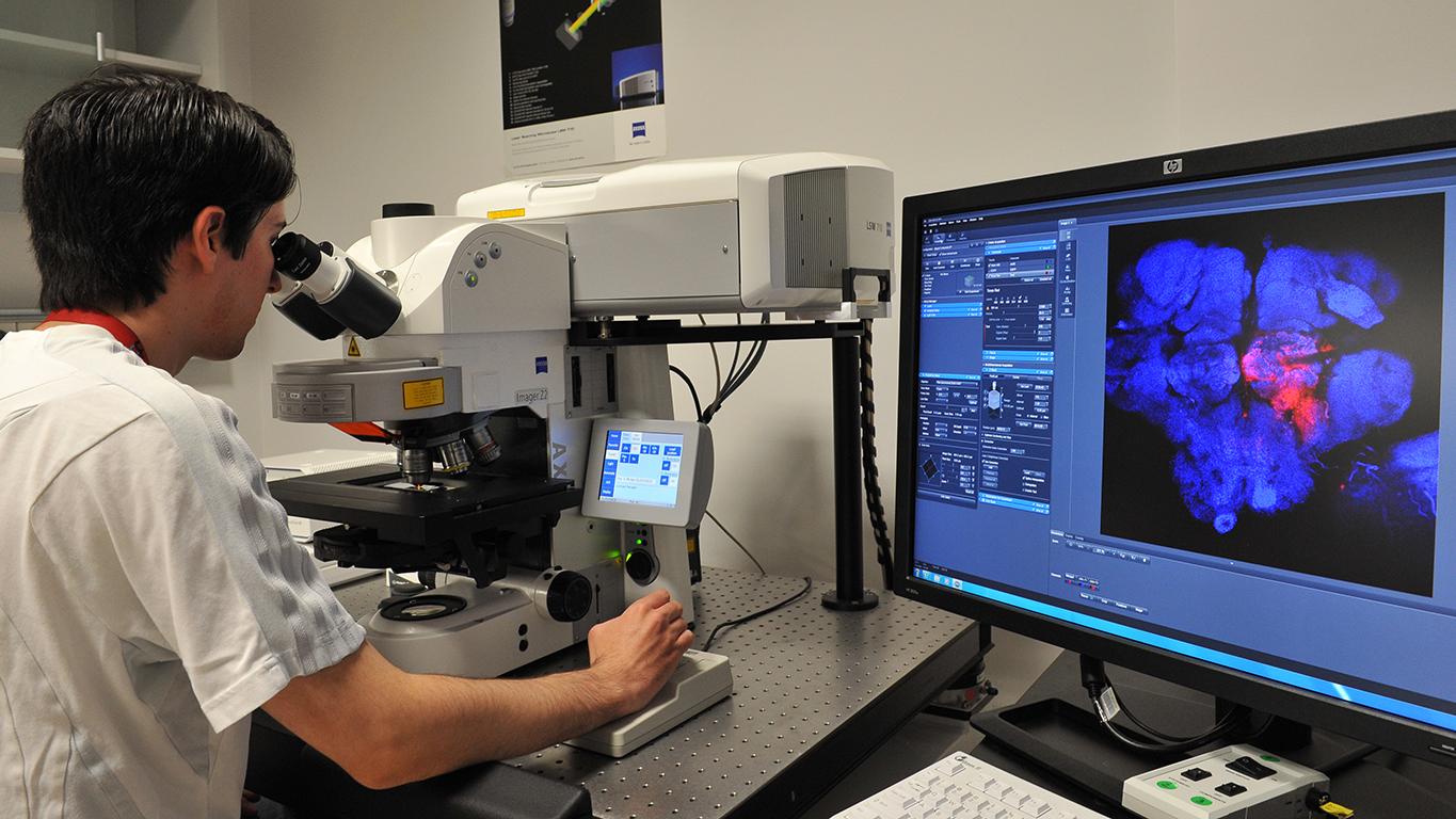 Unlocking Scientific Discoveries at a Core Imaging Facility: Gaining Perspective from the Champalimaud Foundation in Lisbon