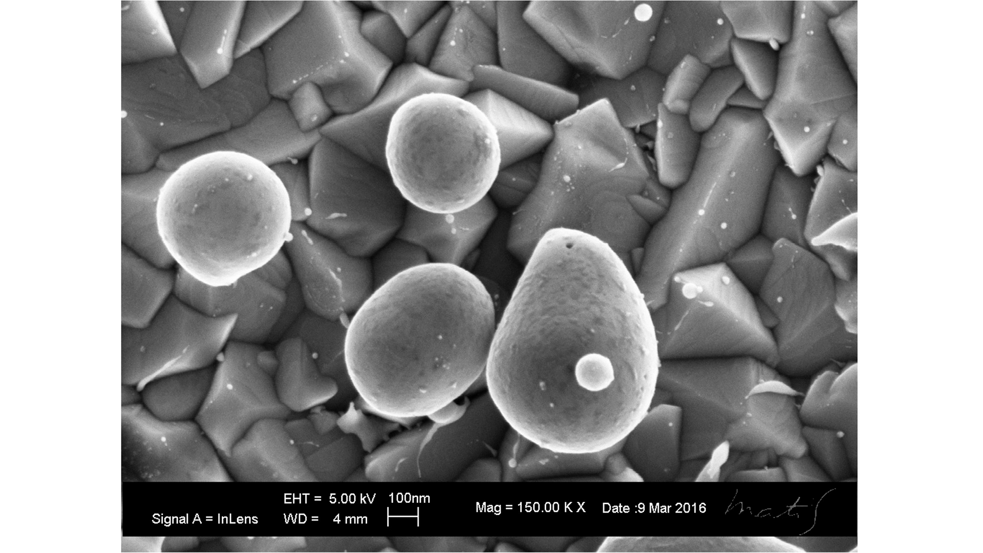 Scanning electron microscopy image of alloy Au/Ag particles produced by the melting, alloying and dewetting processes of a nanoscale-thick Au-Ag bilayers irradiated by a nanosecond-pulsed laser.